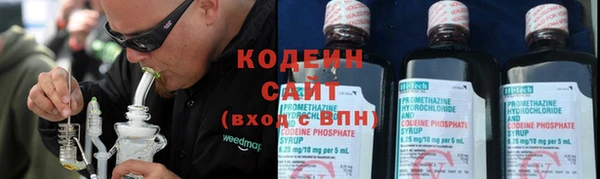 эйфоретик Алзамай