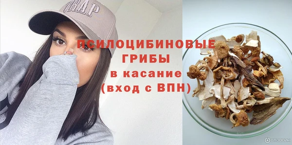 стафф Алексеевка
